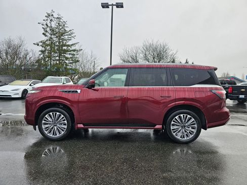 New 2025 INFINITI QX80 Sensory w/ Premium Cargo Package image 4