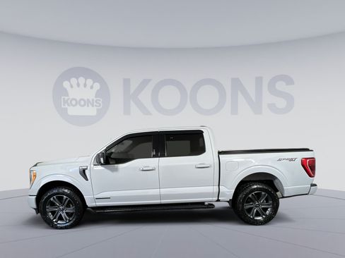 Used 2023 Ford F150 XLT w/ Equipment Group 302A High AWD/4WD image 7