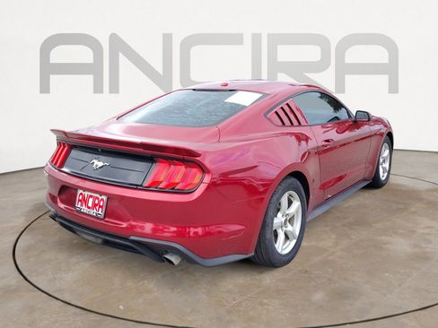 Used 2019 Ford Mustang Coupe RWD image 11