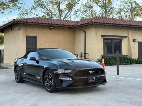 Used 2019 Ford Mustang Premium image 6