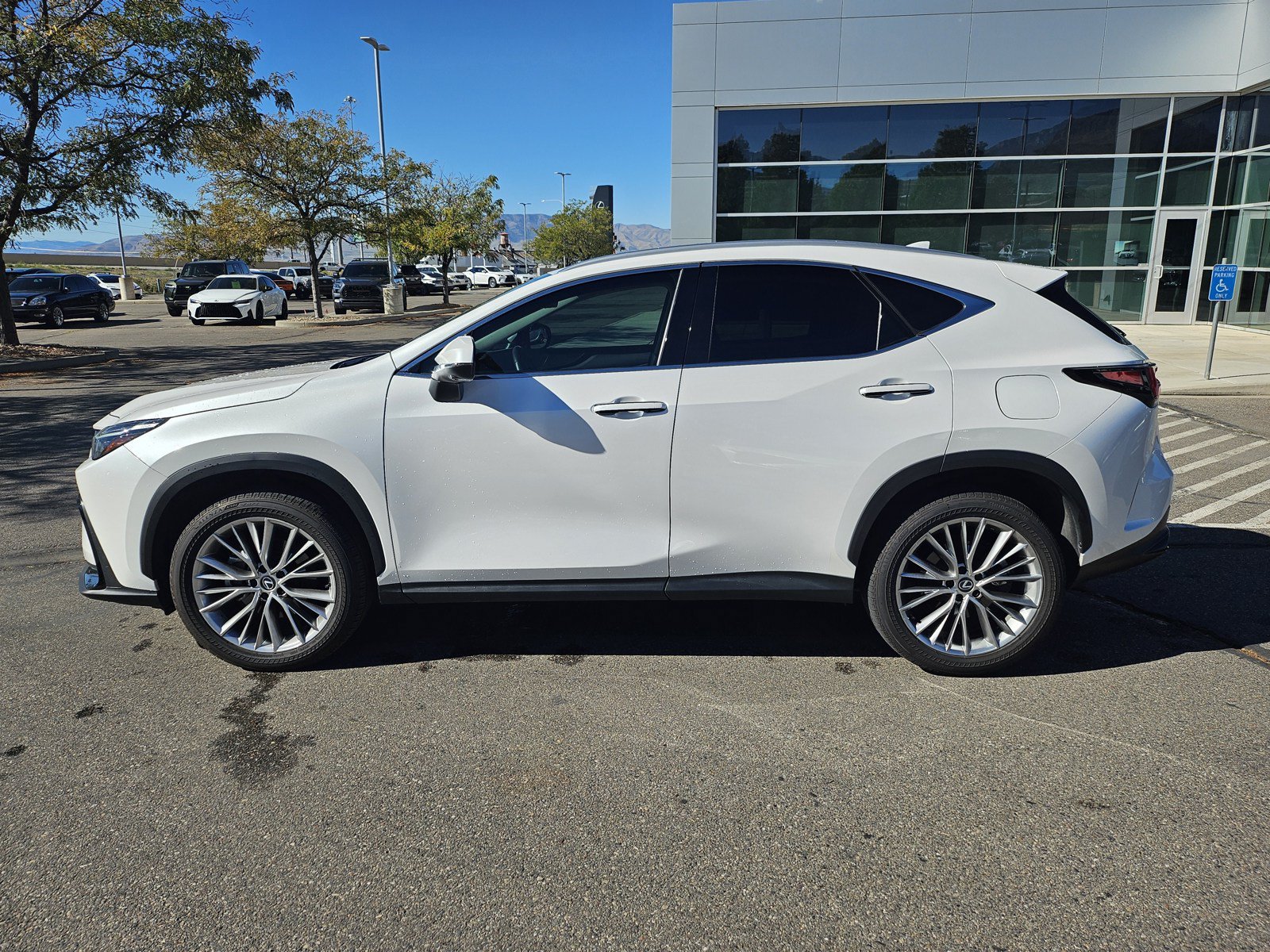 Used 2024 Lexus NX 350 AWD w/ Vision Package image 9