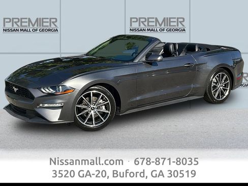 Used 2019 Ford Mustang Premium w/ Equipment Group 201A RWD image 1