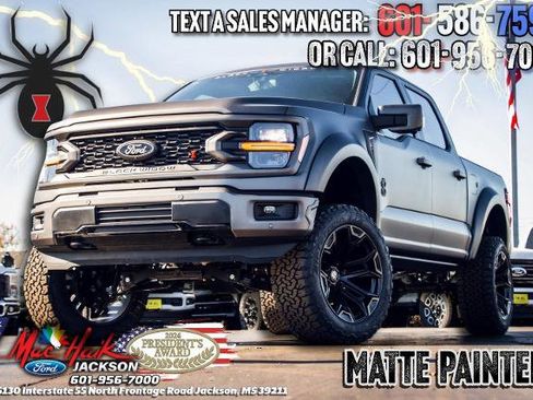 New 2025 Ford F150 XLT w/ Equipment Group 303A High image 1