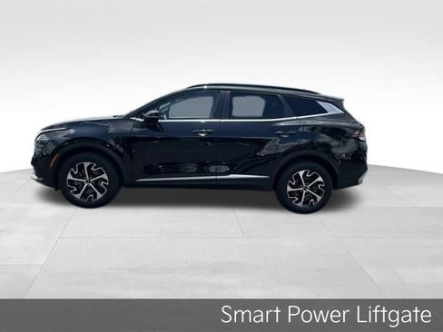 Certified 2024 Kia Sportage EX w/ EX Premium Package AWD/4WD image 5