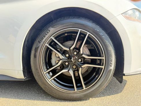 Used 2019 Ford Mustang Premium w/ Equipment Group 201A RWD image 29