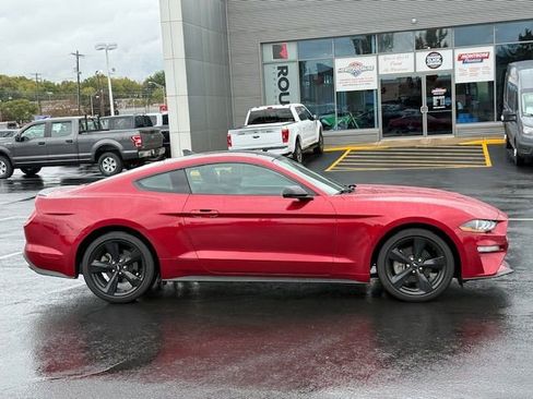Certified 2023 Ford Mustang EcoBoost w/ Equipment Group 101A image 2