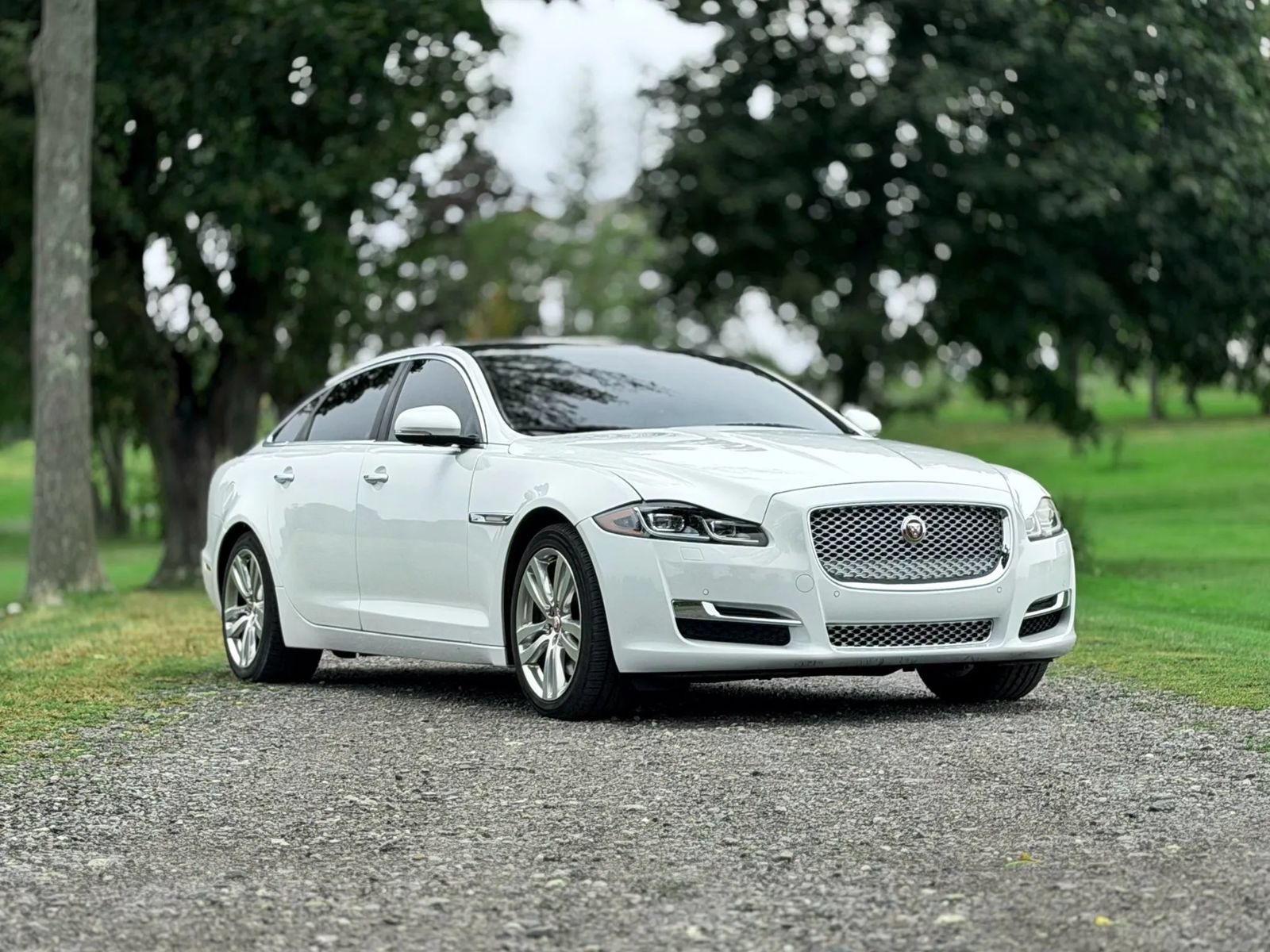 Used 2017 Jaguar XJ L Portfolio AWD/4WD image 5