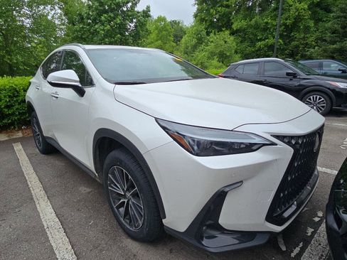 Used 2024 Lexus NX 250 FWD w/ Cold Area Package image 1