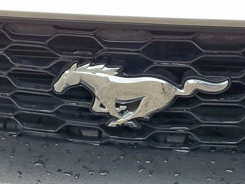 Used 2019 Ford Mustang Premium RWD image 32