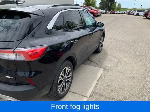Used 2020 Ford Escape SEL AWD/4WD image 5