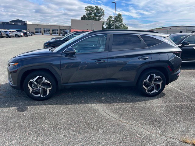 Used 2024 Hyundai Tucson SEL w/ Convenience Package AWD/4WD image 1