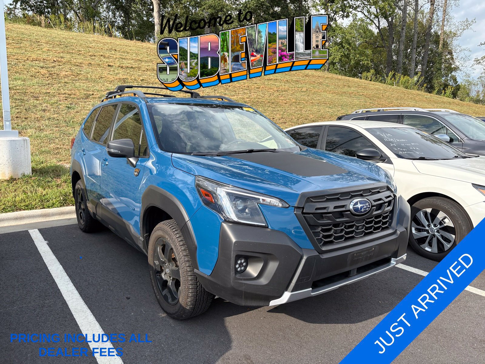 Certified 2023 Subaru Forester Wilderness AWD/4WD image 1