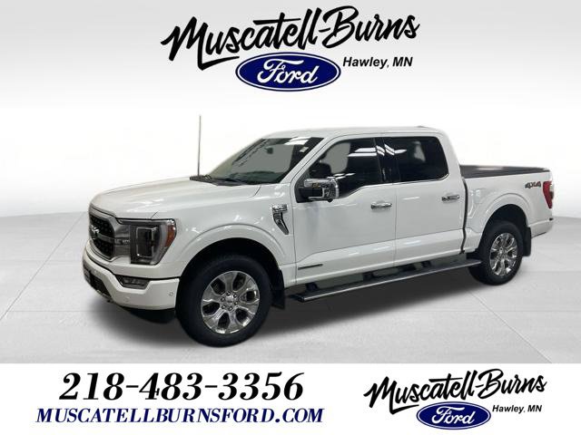 Used 2022 Ford F150 Platinum w/ Equipment Group 701A High AWD/4WD image 1