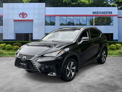 Used 2020 Lexus NX 300h AWD w/ Premium Package image 4