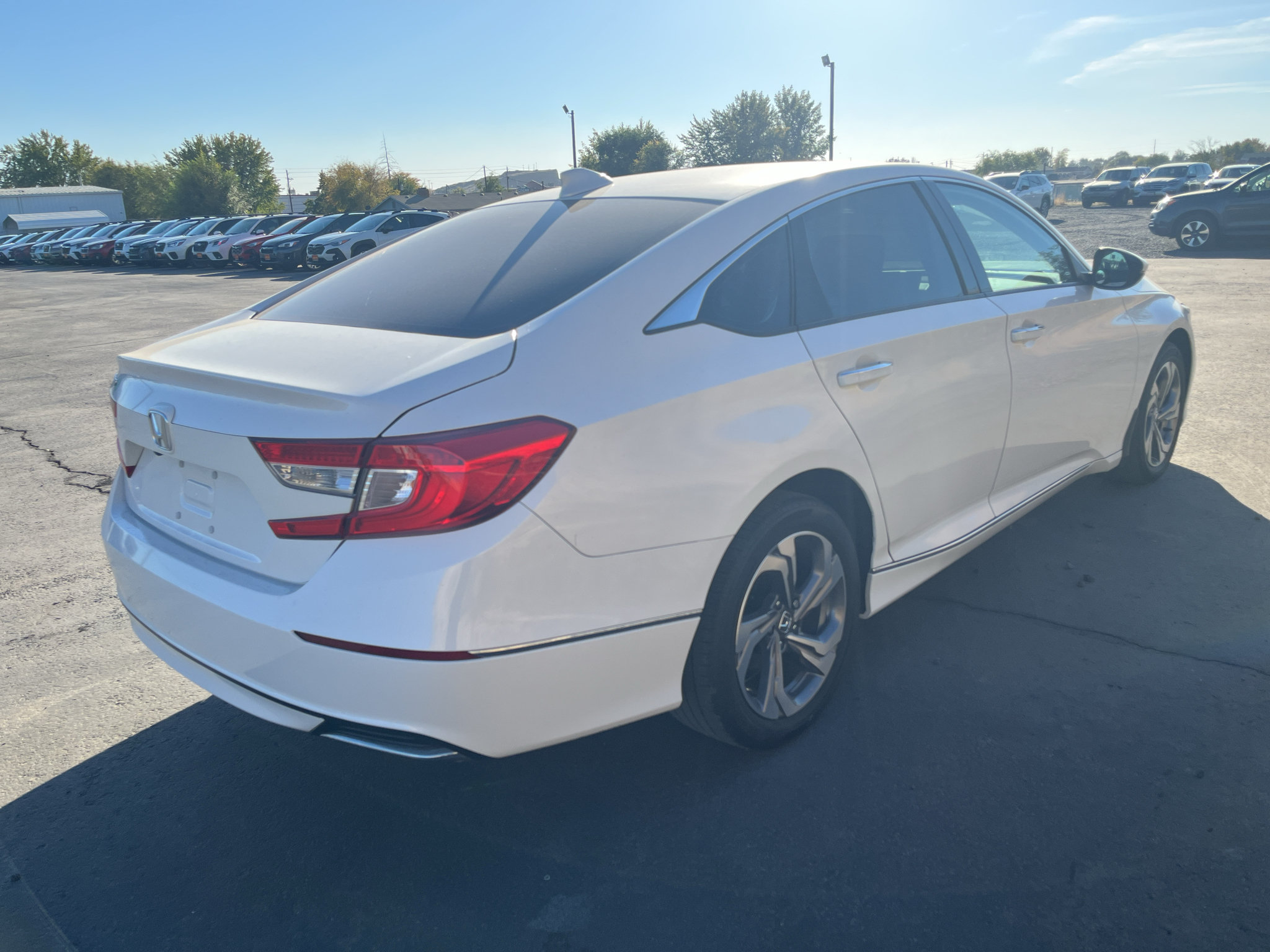 Used 2020 Honda Accord EX-L image 4