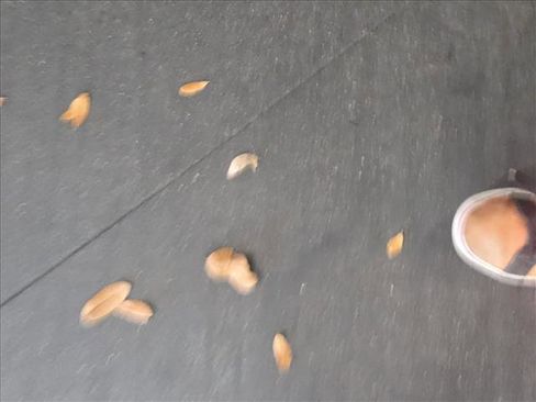 Used 2018 Lexus RX 350 FWD w/ Premium Package image 25