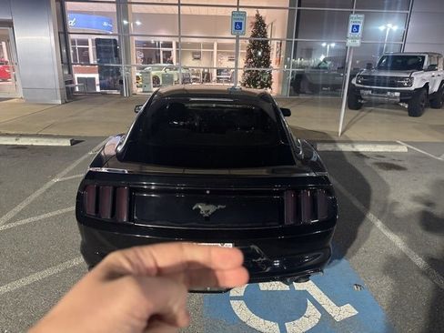 Used 2015 Ford Mustang Coupe image 8