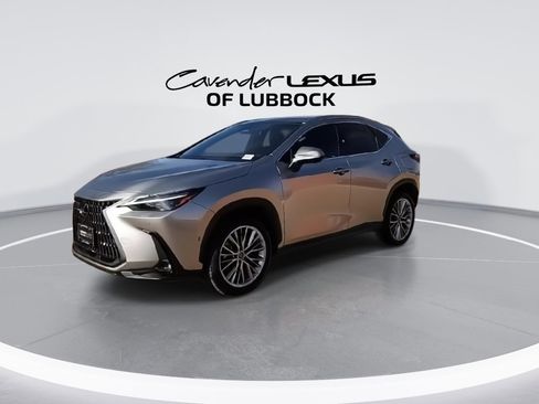 Used 2022 Lexus NX 350h AWD w/ Vision Package image 5