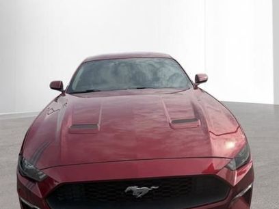 Used 2019 Ford Mustang Premium w/ Ecoboost Performance Package