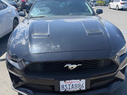 Used 2019 Ford Mustang Coupe RWD image 4