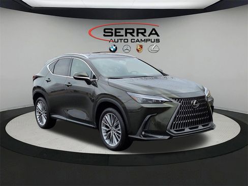 Used 2025 Lexus NX 350 AWD w/ Cold Area Package image 11