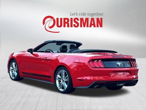 Used 2020 Ford Mustang Premium w/ Equipment Group 201A image 4