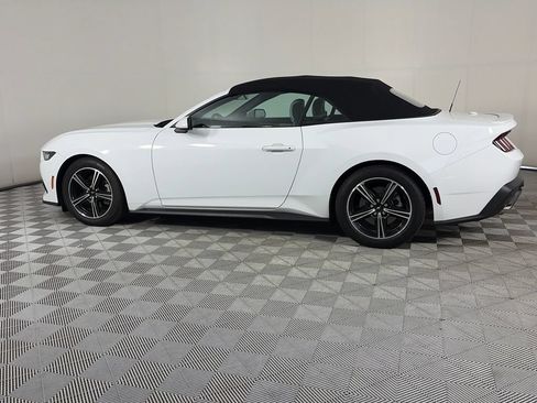 Used 2024 Ford Mustang Premium RWD image 5