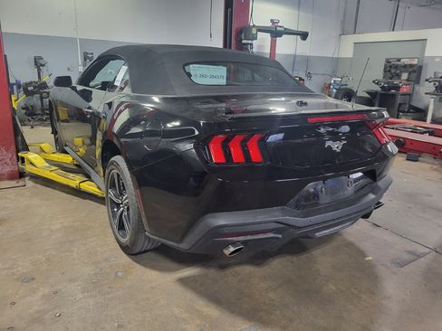 Used 2025 Ford Mustang Premium RWD image 9