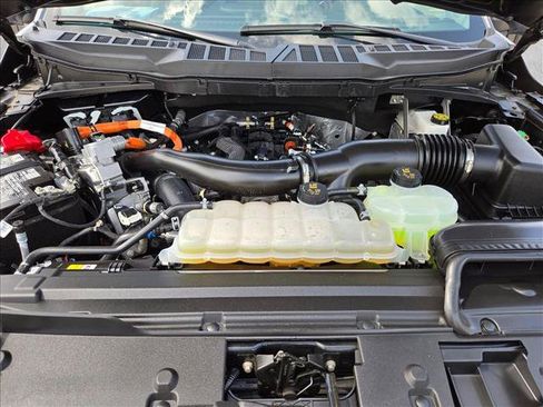 Used 2025 Ford F150 XLT w/ Equipment Group 301A Standard AWD/4WD image 21