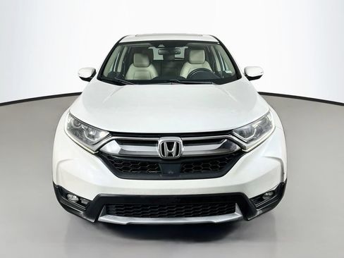Used 2019 Honda CR-V EX-L image 2