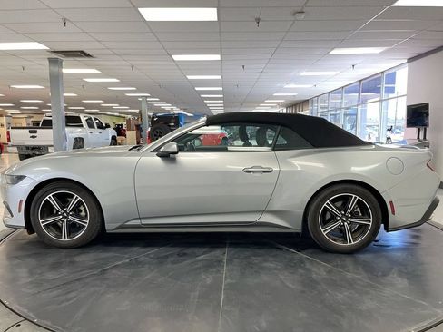 Used 2025 Ford Mustang Premium RWD image 5