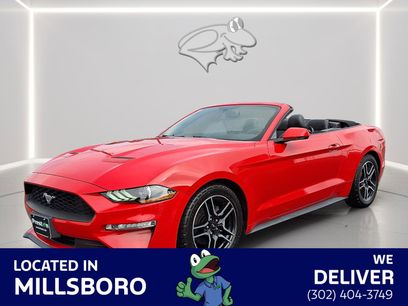 Used 2018 Ford Mustang Premium w/ Equipment Group 201A