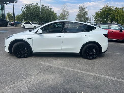 Used 2022 Tesla Model Y Long Range AWD/4WD image 5