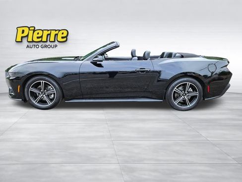 Used 2025 Ford Mustang Premium RWD image 2