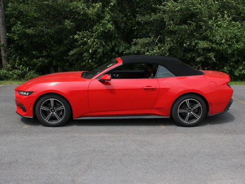 Used 2024 Ford Mustang Premium RWD image 5