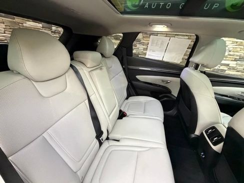Used 2023 Hyundai Tucson Limited w/ Cargo Package AWD/4WD image 38