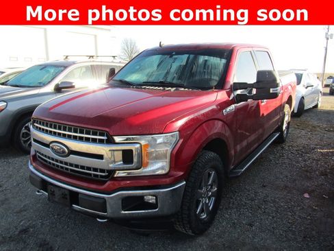 Used 2019 Ford F150 XLT w/ Equipment Group 302A Luxury image 1