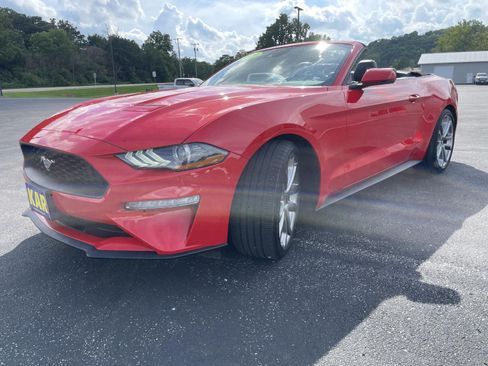 Used 2023 Ford Mustang Premium w/ Equipment Group 201A RWD image 16