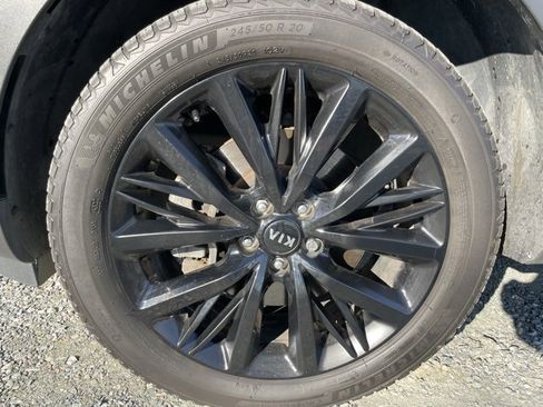 Used 2020 Kia Telluride SX w/ SX Prestige Package image 5