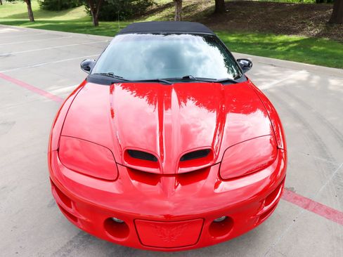 Used 1999 Pontiac Firebird Trans Am RWD image 39