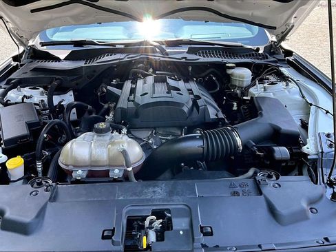 Used 2019 Ford Mustang Coupe w/ Equipment Group 101A RWD image 34