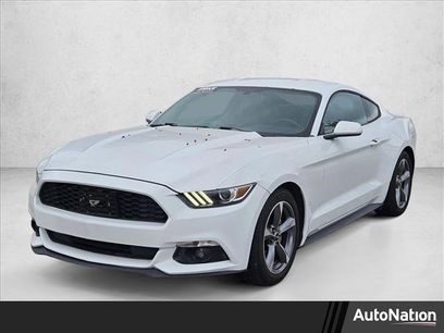 Used 2015 Ford Mustang Coupe w/ Equipment Group 051A