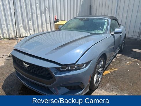 Used 2024 Ford Mustang Convertible w/ Wheel & Stripe Package RWD image 2