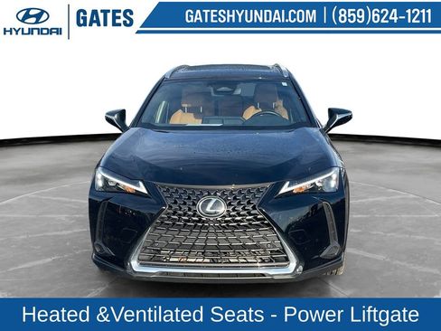 Used 2025 Lexus UX 300h AWD w/ Cold Area Package image 4