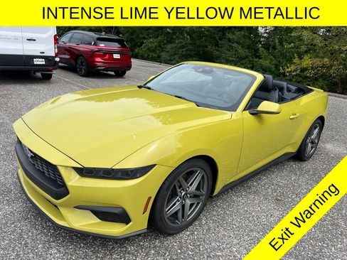 New 2025 Ford Mustang Premium image 2