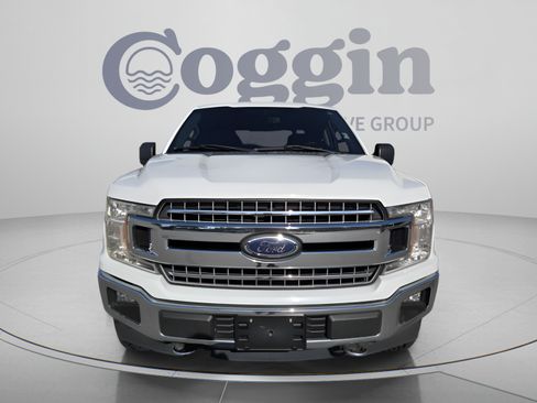 Used 2019 Ford F150 XLT w/ Equipment Group 302A Luxury AWD/4WD image 8