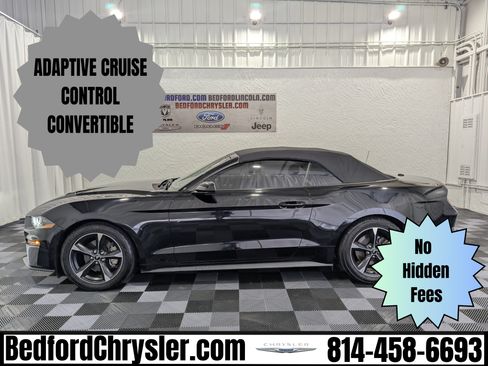 Used 2019 Ford Mustang Convertible w/ Ford Safe & Smart Package RWD image 1