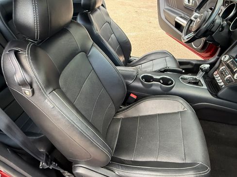 Used 2019 Ford Mustang GT Premium RWD image 15