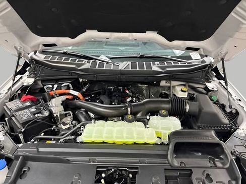 New 2025 Ford F150 XLT w/ Equipment Group 303A High image 19