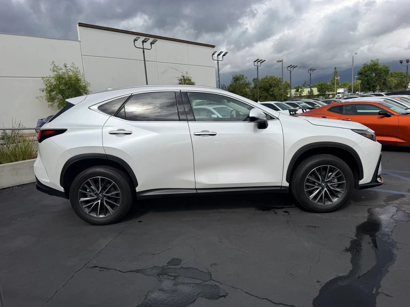 Used 2025 Lexus NX 350h AWD w/ Cold Area Package image 5